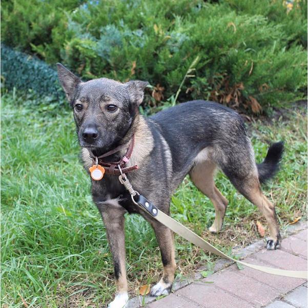 Санта: дівчинка, 2 р.