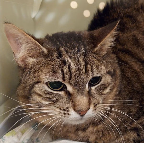 Юлька: дівчинка, 2 р.